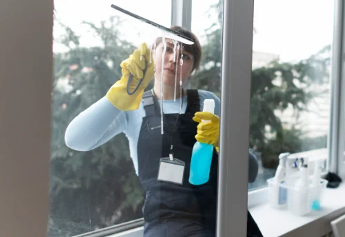 Nettoyage de vitres intérieures et extérieures à la Bloutière